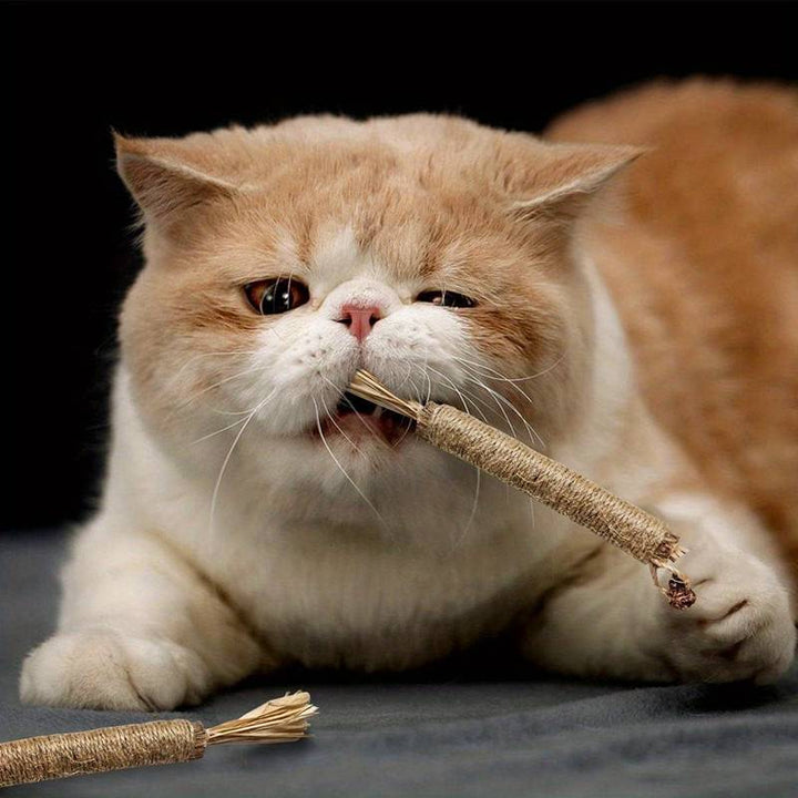 All Natural Catnip Teething Toy For Cats