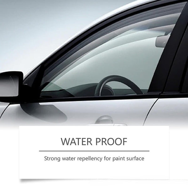 Automotive Ceramic Coating Agent