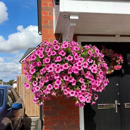 UV Resistant Artificial Petunias Flowers(Without a basket)