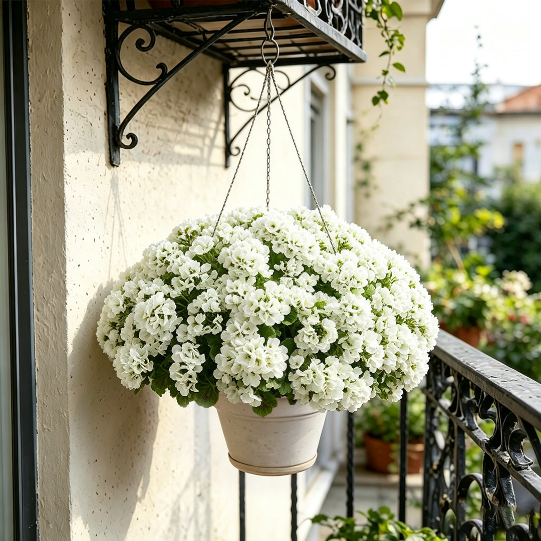 🔥Last Day 70% OFF🌼UV Resistant Artificial Geranium Flowers- UV resistant, Waterproof, Windproof