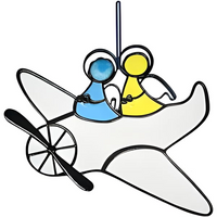 Couple on the plane