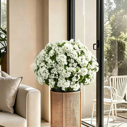 🔥Last Day 70% OFF🌼UV Resistant Artificial Geranium Flowers- UV resistant, Waterproof, Windproof