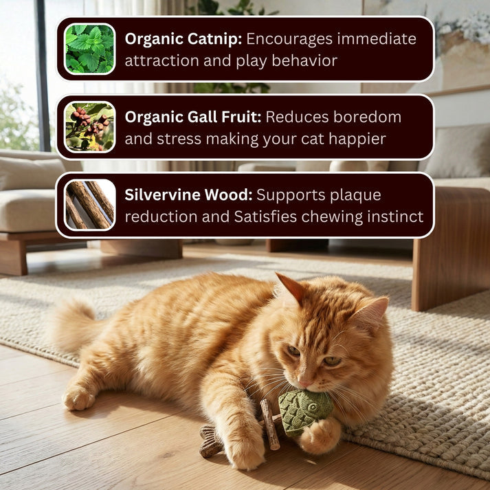 🔥Day Sale 50% OFF-Catnip & Silvervine Chew