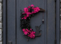 Magenta & Black