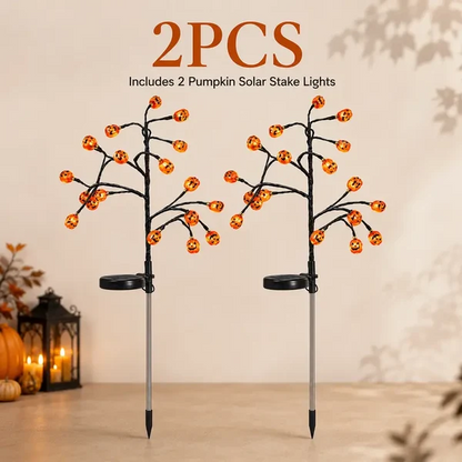 Solar Pumpkin Stake Lights