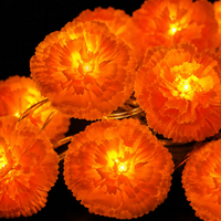 1.5m 10lights