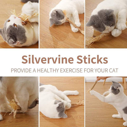 All Natural Catnip Teething Toy For Cats