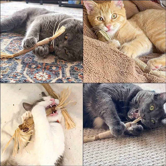 All Natural Catnip Teething Toy For Cats