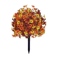 Autumn Colors