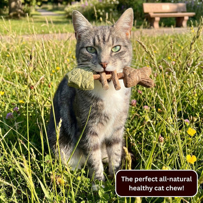 🔥Day Sale 50% OFF-Catnip & Silvervine Chew