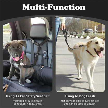 2-in-1Dog Car Seat Belt& Walking Leash