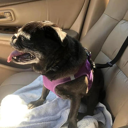 2-in-1Dog Car Seat Belt& Walking Leash