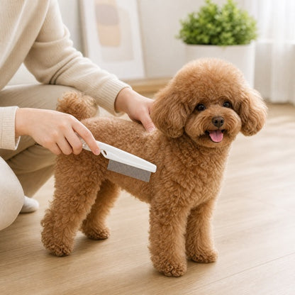 2 Pack Pet Grooming Comb Set For Small Dogs And Cats Flea And Lice Remova