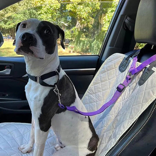 2-in-1Dog Car Seat Belt& Walking Leash