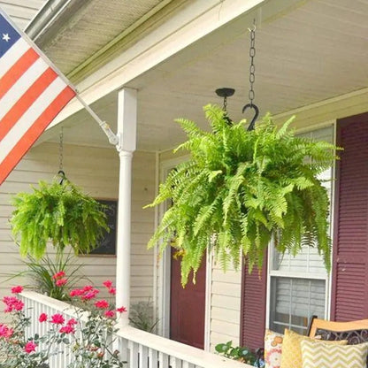 🔥 Newly Upgraded🔥Oversized Pre-Lit Artificial Boston Ferns --No watering, No fading